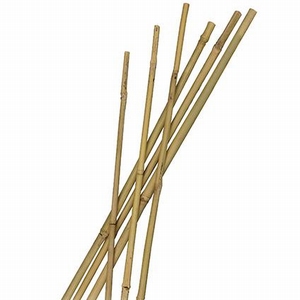Bamboe stokjes 90cm 100 stuks