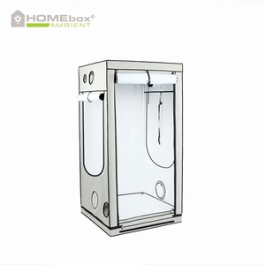 Homebox Ambient Q100+ 100x100x220 cm