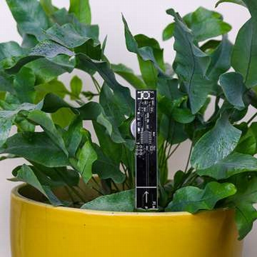 Plant Watering Alarm Sensor with battery