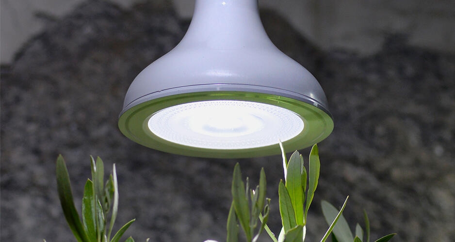 Nelson Garden Groei kweek LED lamp 18watt