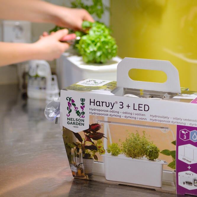 Nelson Garden Harvy 3 + LED - Startpakket