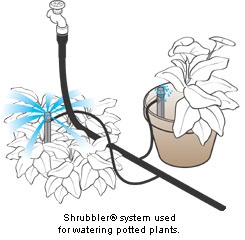 Shrubbler verstelbare sproeier Steker 360 adjustable