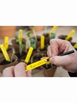 Nortene Label plant steeketiket 10cm 25x incl potlood