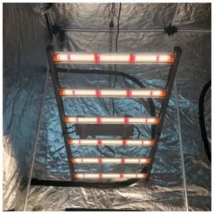 350w-420-tent.440×400