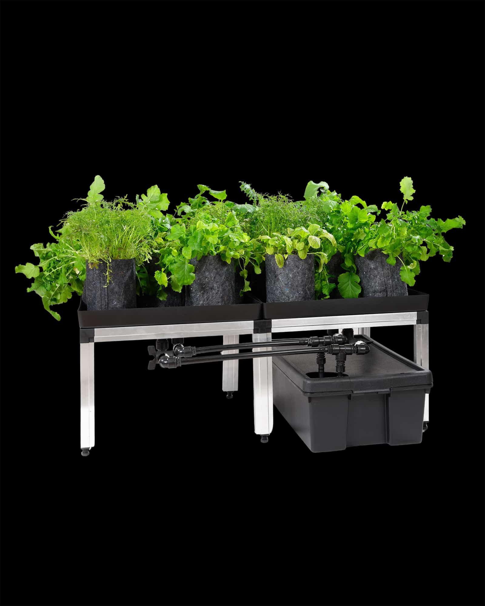 Automatisch bewateringssysteem Bonanza 1m2 3in1 6 Automatisch bewateringssysteem Bonanza 1m2, 3in1