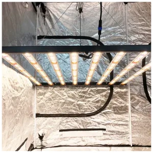 420-spider_1000w-kweektent.440×400