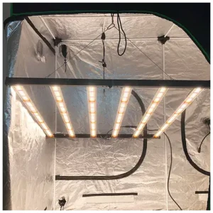 420-spider_650w-kweektent.440×400