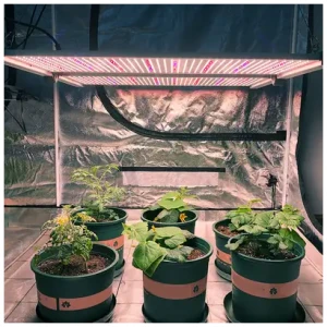 Tente de croissance quantique de 650 W