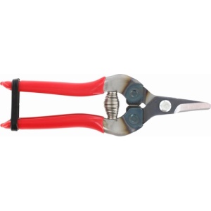 ARS Fruitchaar 16cm gebogen Rood