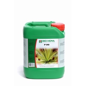 BN P 20% Fosfor 5 ltr