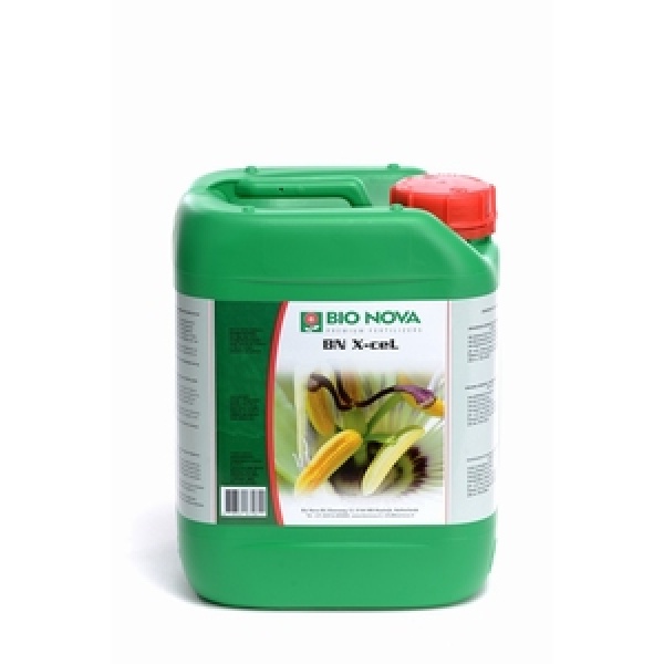 BN X-cel Pro 5Ltr.