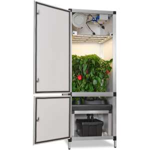 Bonanza0.35_Gbars_WiFi_Paprika-scaled (1)