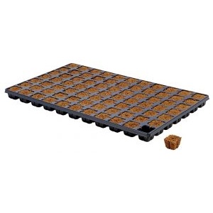 Eazy Plug CT77 per tray 77stuks