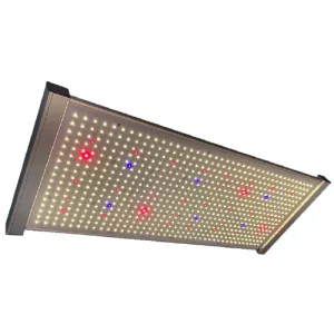 Samsung Lampe de culture LED Quantum 320W