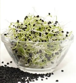 Ui-kiemzaad Kiemgroenten 250gr