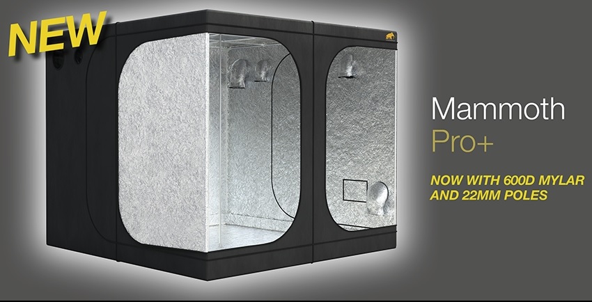Mammoth Pro+ 100 100x100x200cm Kweektent 7 Mammoth Pro+ 100 100x100x200cm Kweektent - Afbeelding 7
