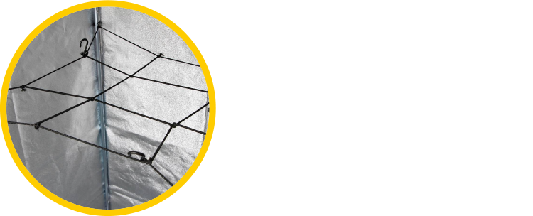 Mammoth Web klein 60-100cm Elastic 3 Mammoth Web klein 60-100cm Elastic - Afbeelding 3