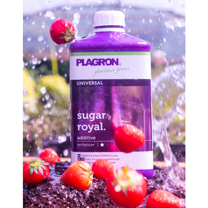 Plagron Sugar Royal 5 Liter 2 Plagron Sugar Royal 5 Liter - Afbeelding 2