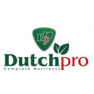 Dutch Pro