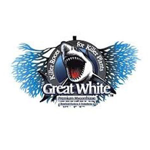 Great White Mycorrhiza