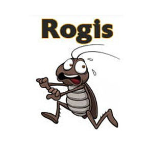 Rogis