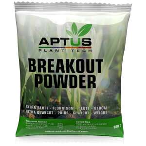 Aptus Breakout Powder 100gr