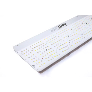 hortiONE600 LED kweeklamp