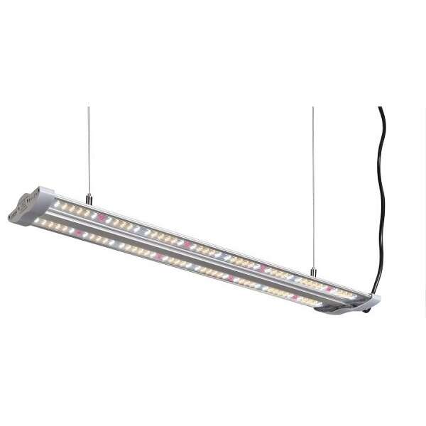 Hortimol LED 60W 120cm 4000K