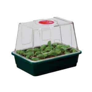 Garland Kleine High Dome Propagator 23 x 17 x 18 CM