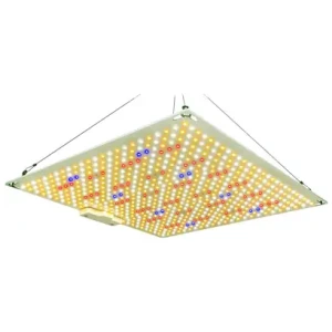 Samsung Lampe de culture LED Quantum ECO 320W