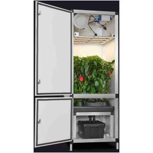 Bonanza Clima 0.35m2 en G-Bars 170W + 3 in 1 irrigatiesysteem