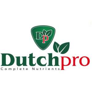 Dutch Pro logo